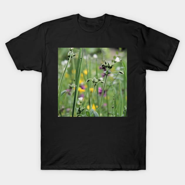 Lightness of Being - Early summer meadow flowers T-Shirt by WesternExposure